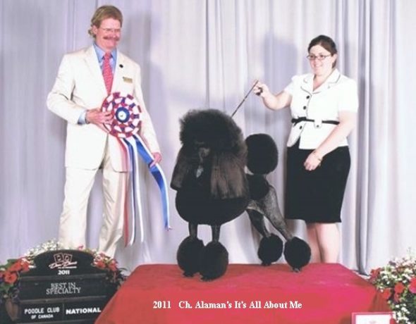 Poodle club of Canada