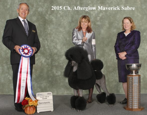 Poodle club of Canada