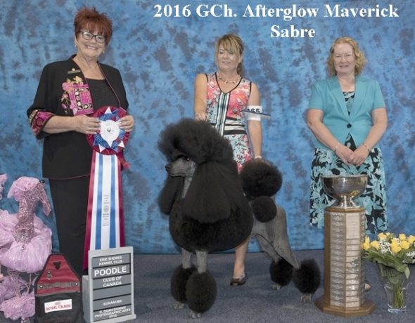 Poodle club of Canada