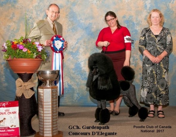 Poodle club of Canada