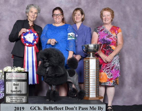 Poodle club of Canada