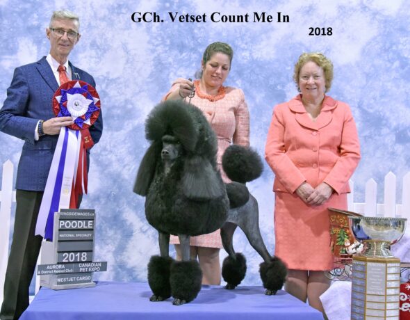 Poodle club of Canada