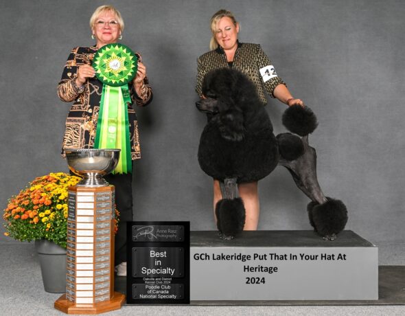Poodle club of Canada
